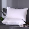 Pillow Inner