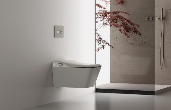 Integrated Smart Toilet